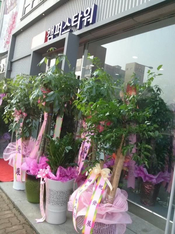 12��4��(������)