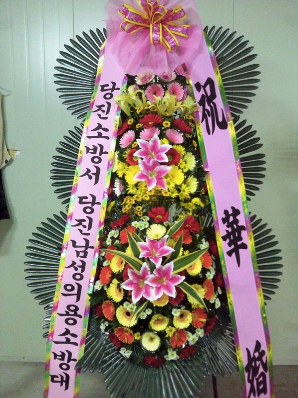 12��5��(�����)