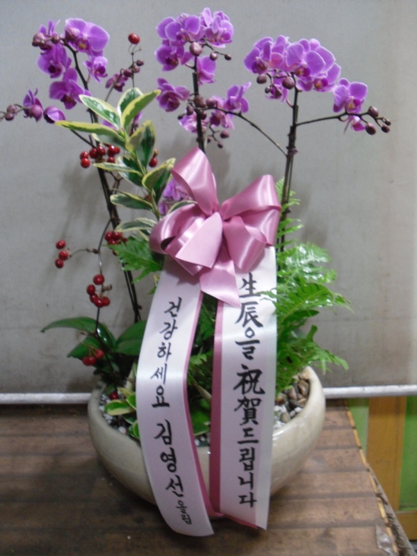 12��5��(�����)