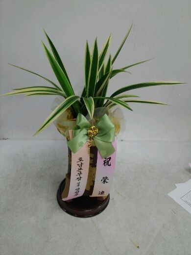 12��5��(�����)