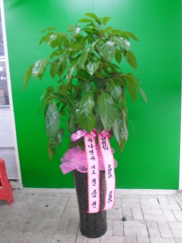 12��5��(�����)