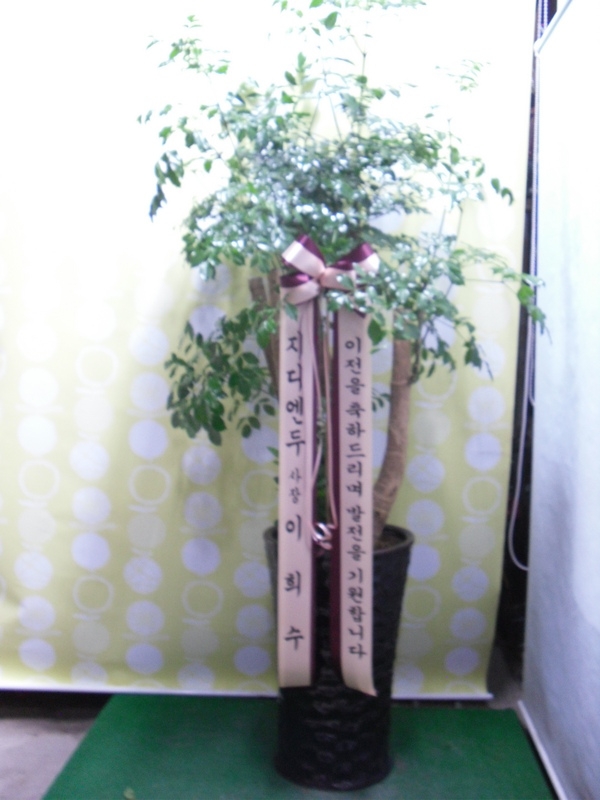 12��10��(ȭ����)