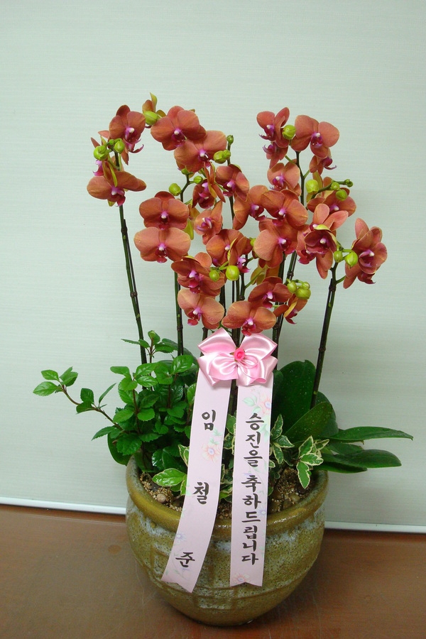 12��10��(ȭ����)