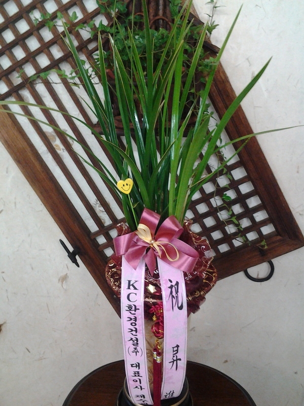 12��10��(ȭ����)