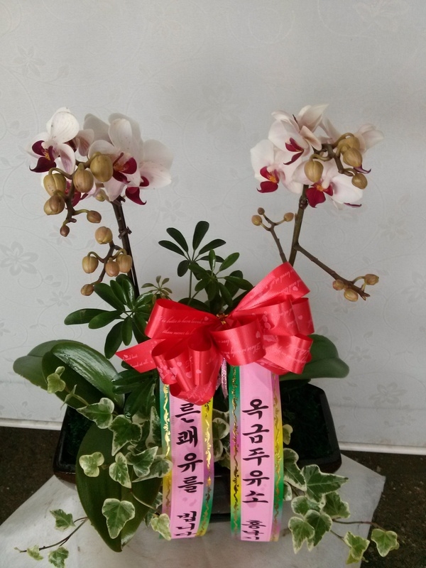 12��10��(ȭ����)