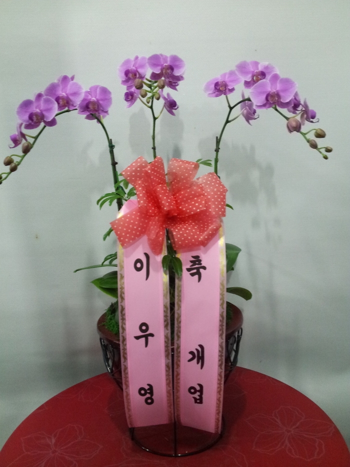 12��17��(ȭ����)