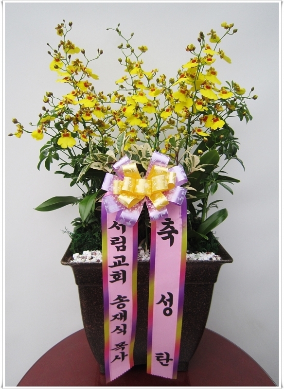 12��17��(ȭ����)