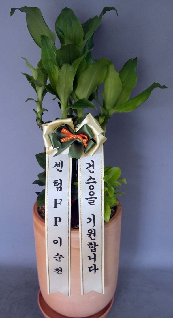 12��17��(ȭ����)