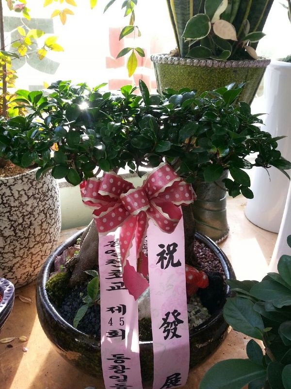 12��17��(ȭ����)