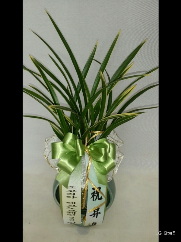 12��17��(ȭ����)