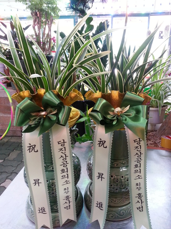 12��23��(������)