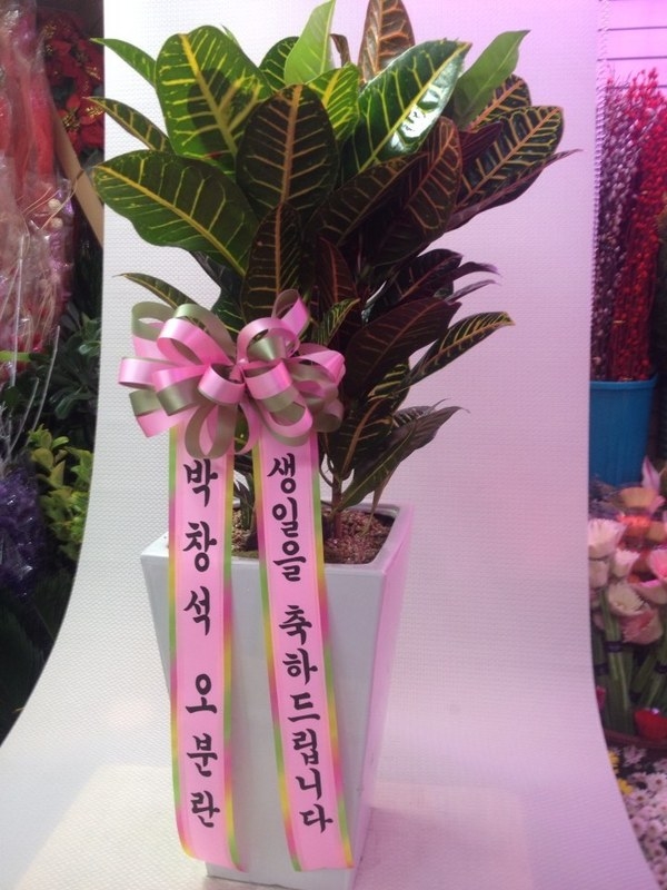 12��23��(������)