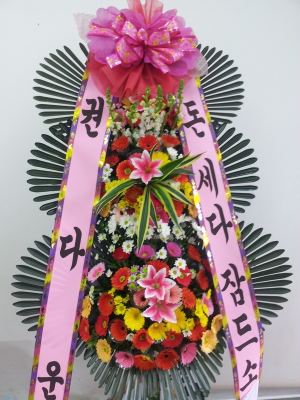 12��23��(������)