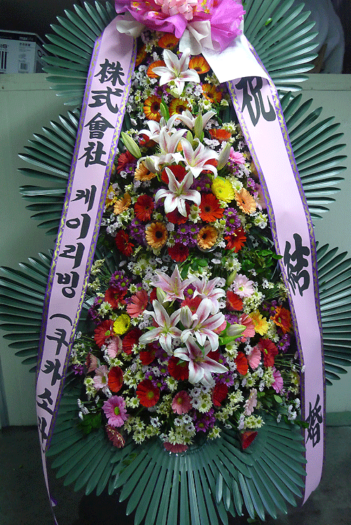 12��23��(������)