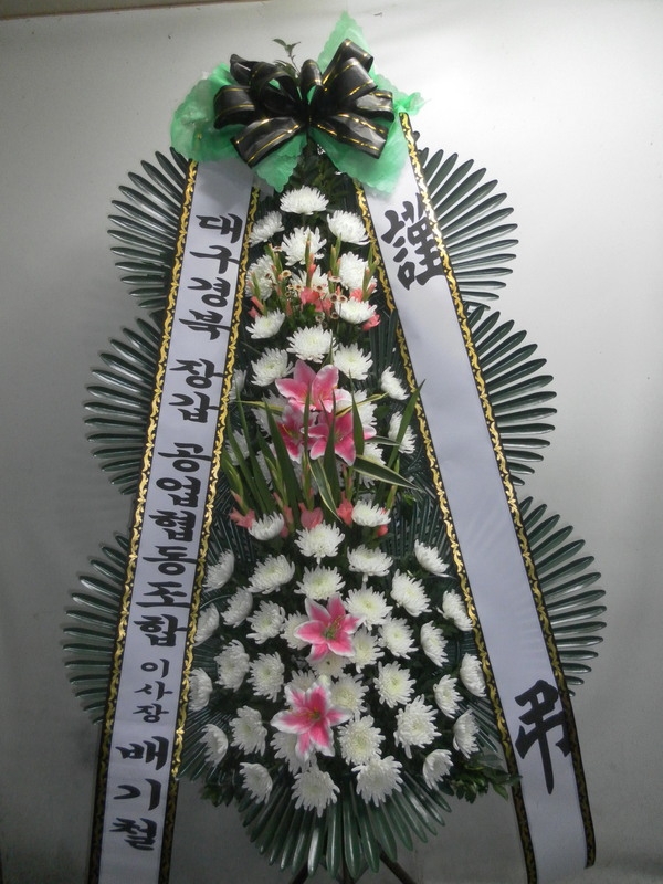 12��23��(������)