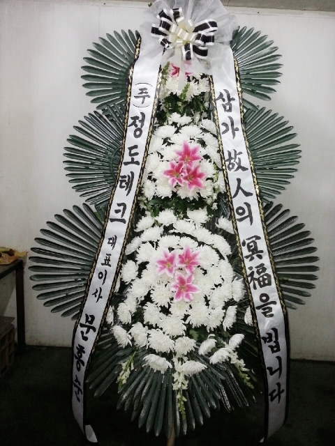 12��23��(������)