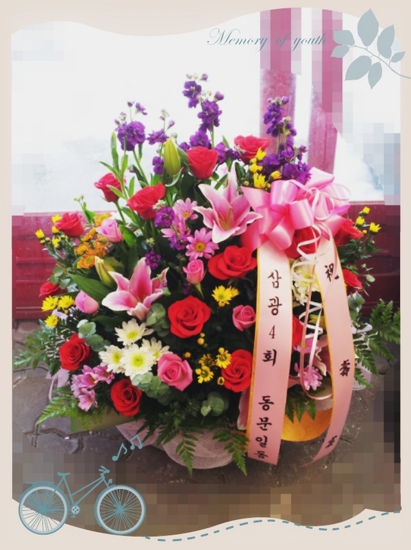 12��23��(������)