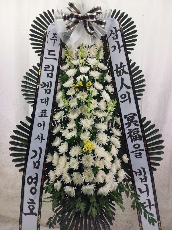 12��23��(������)