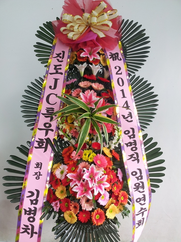 12��23��(������)