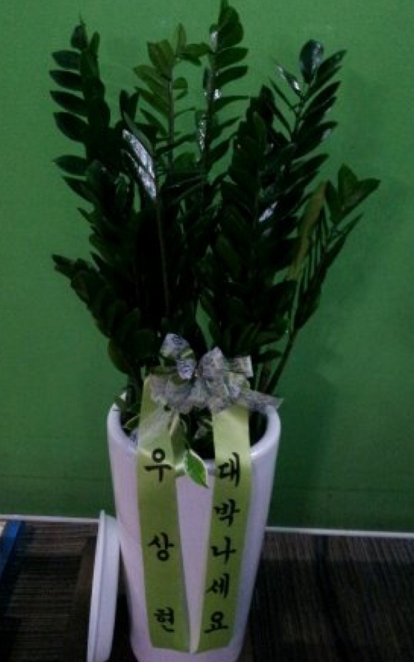 12��23��(������)