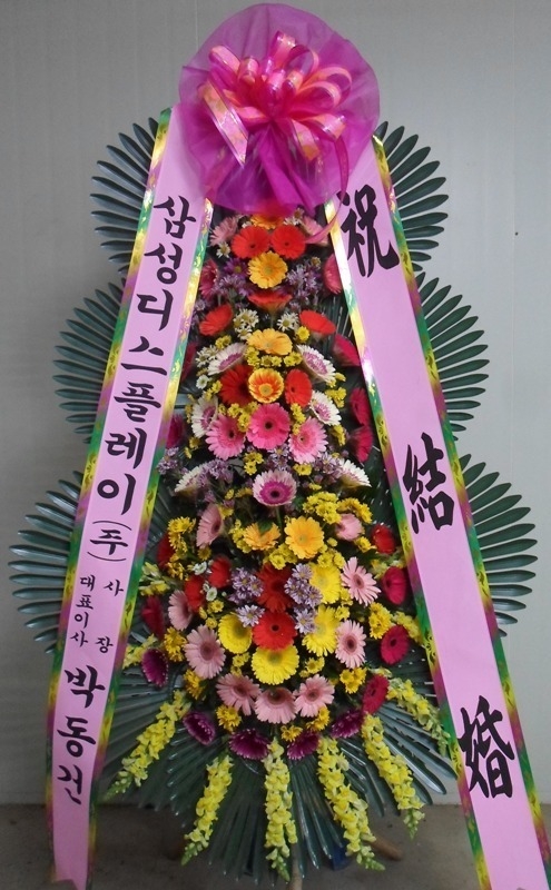 12��23��(������)