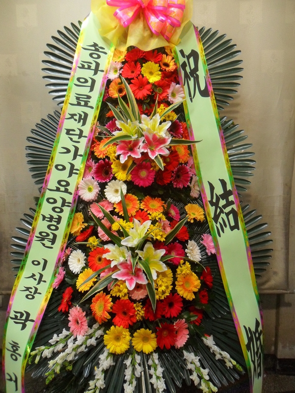 12��23��(������)