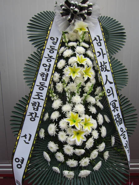 12��23��(������)