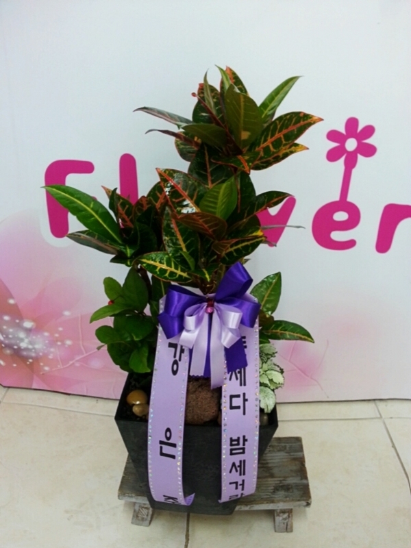 12��23��(������)