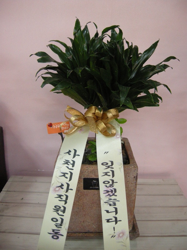 12��26��(�����)