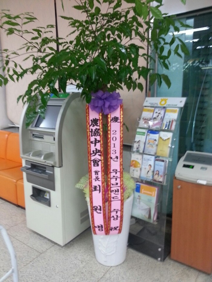 12��26��(�����)