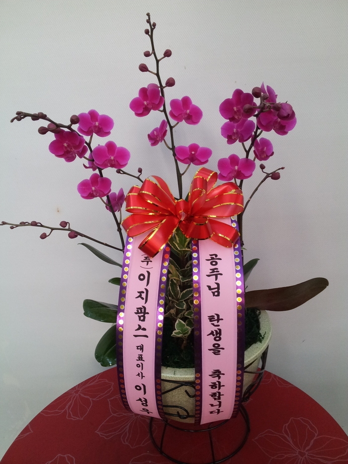 12��26��(�����)