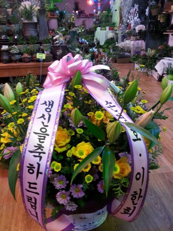 12��26��(�����)