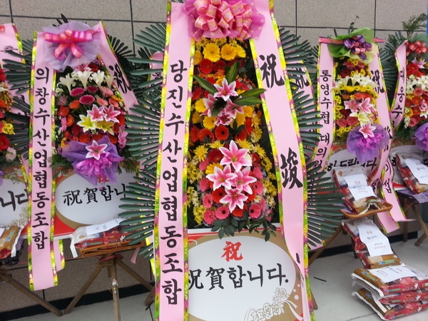 12��26��(�����)