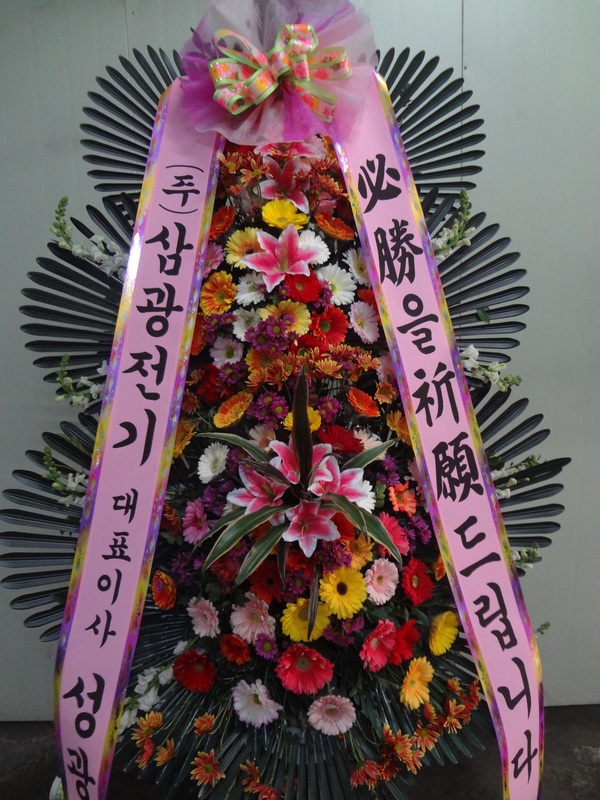 12��26��(�����)