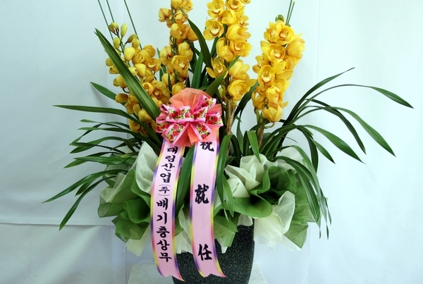 2014�����ù��