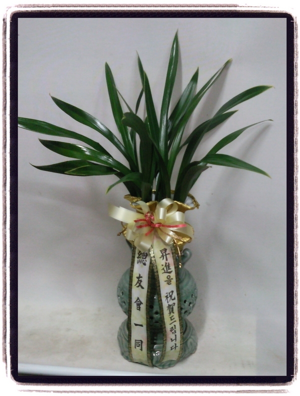 2014�����ù��