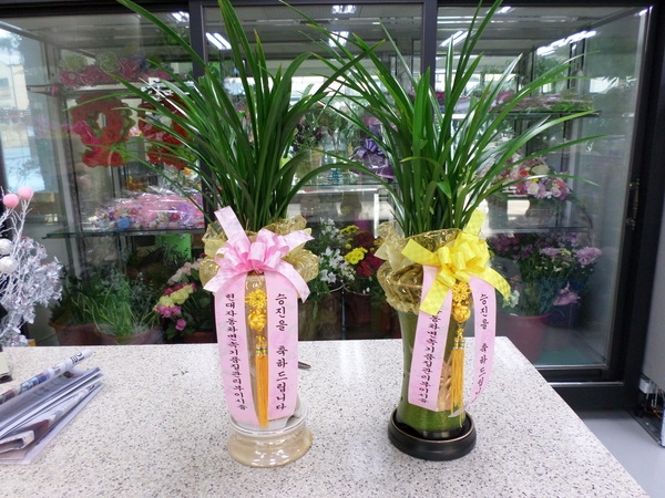 2014�����ù��