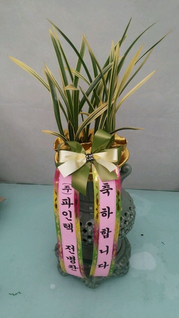 2014�����ù��