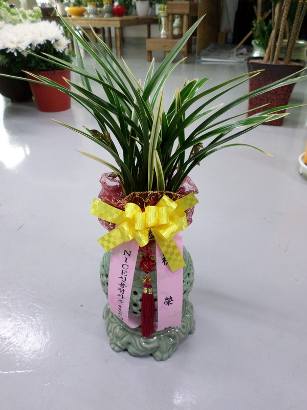 2014��1��2��