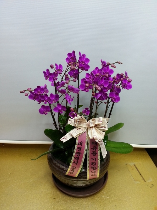 2014��1��2��