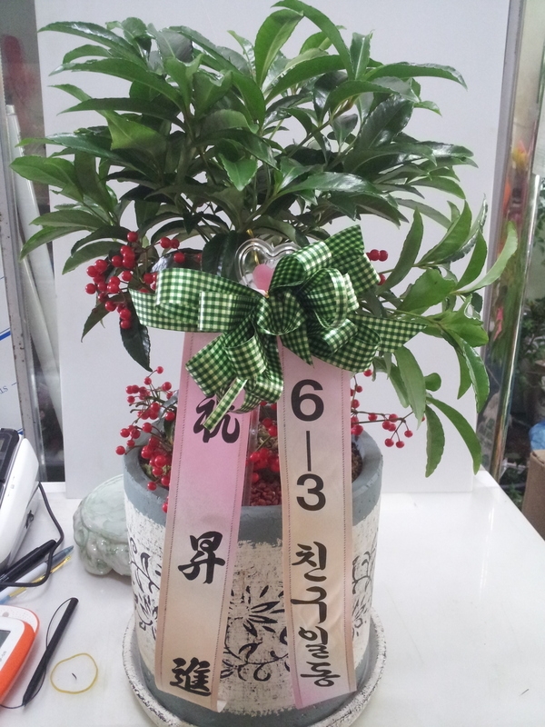 2014��1��2��