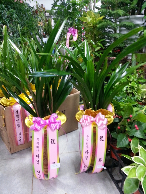 2014��1��2��