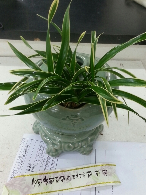 2014��1��2��