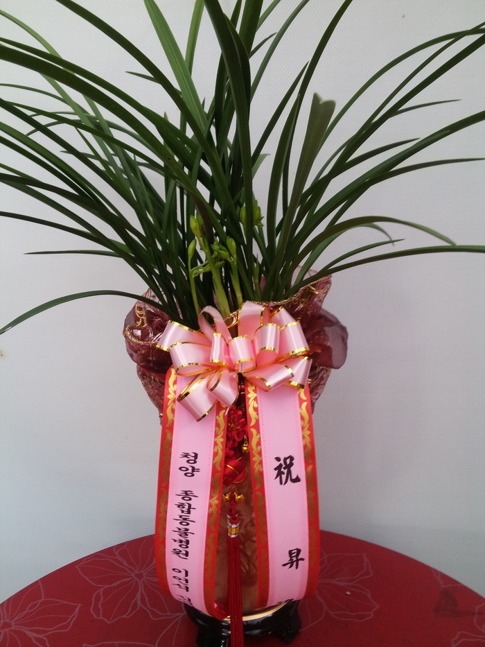 2014��1��5��(��)