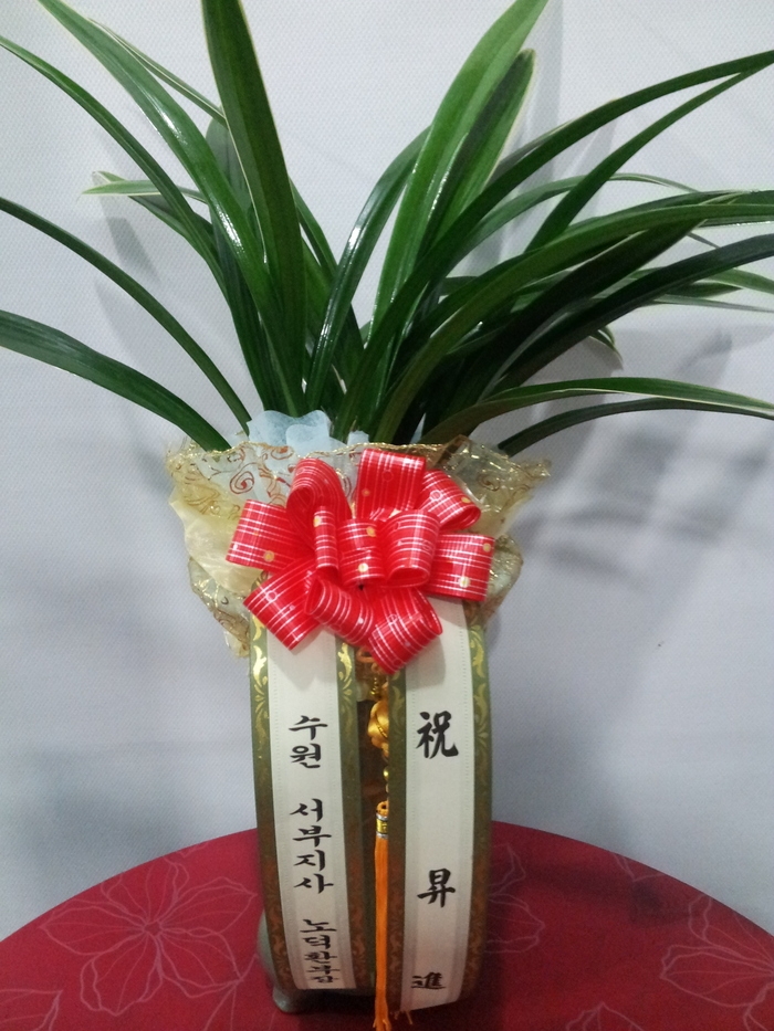 2014��1��5��(��)