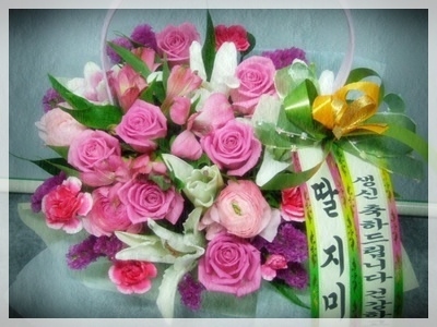 2014��1��5��(��)