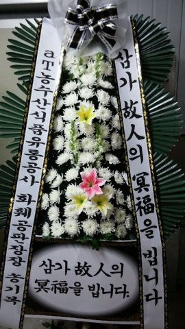 2014��1��5��(��)