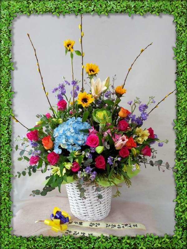 2014��1��5��(��)