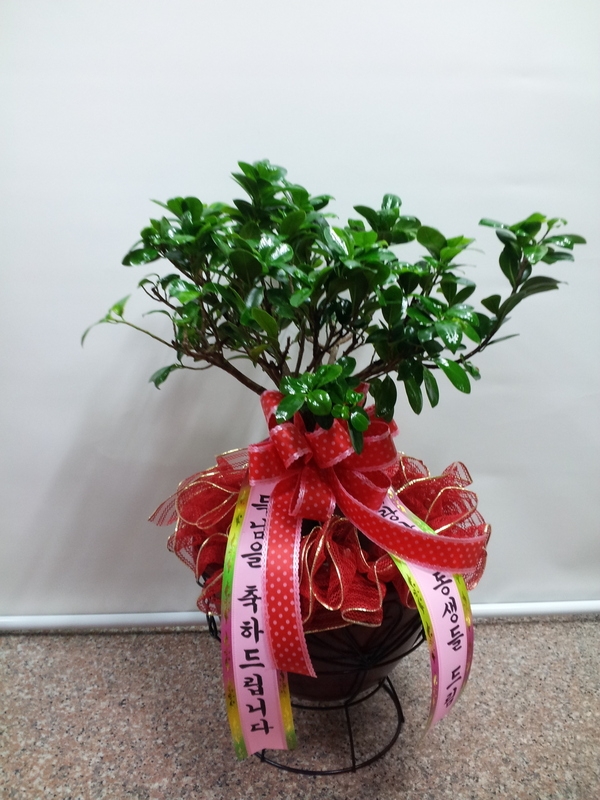 2014��1��5��(��)