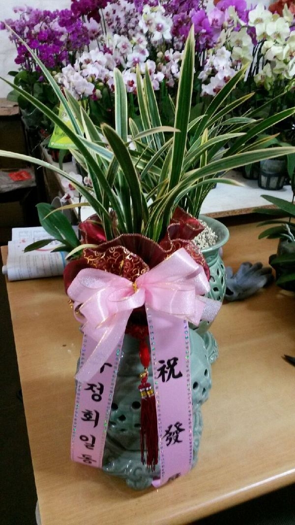 2014��1��5��(��)